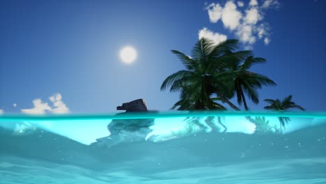 Split-view-cross-section-of-sea-water-and-palm-trees-on-Island